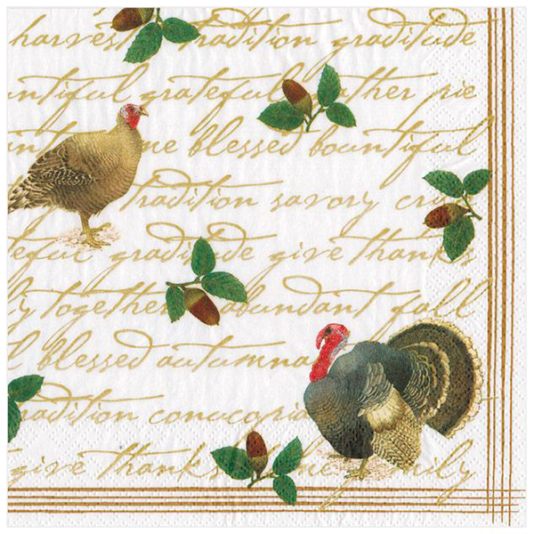 Founders' Thanksgiving Paper Beverage Napkins