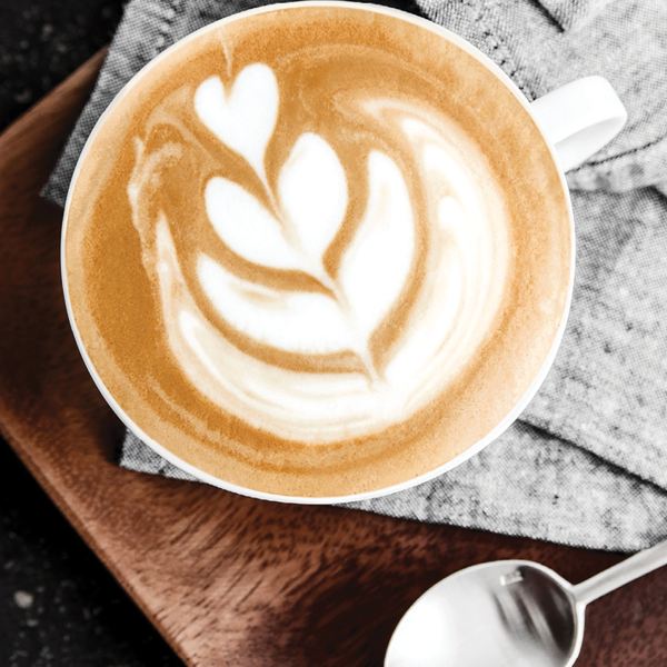 Breville Barista SALE