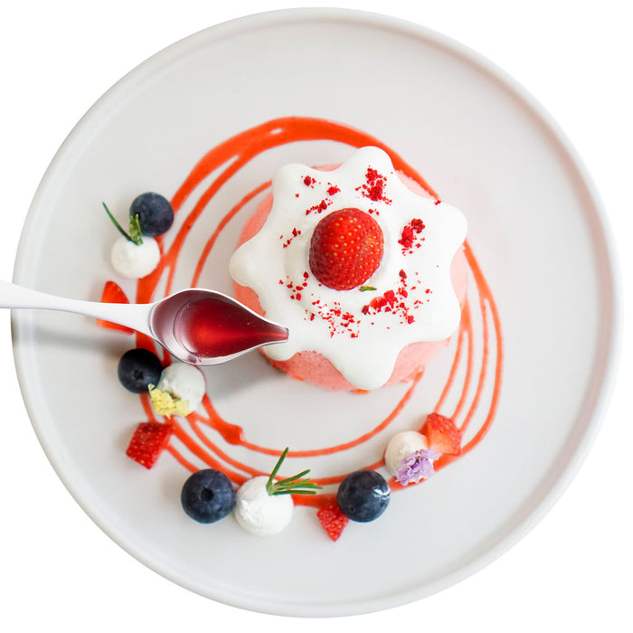 Cat Cora Plating and Sauce Spoon