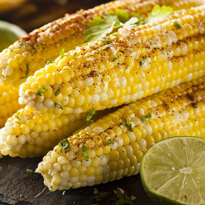 The Spice Lab Street Corn Seasoning-5 Oz