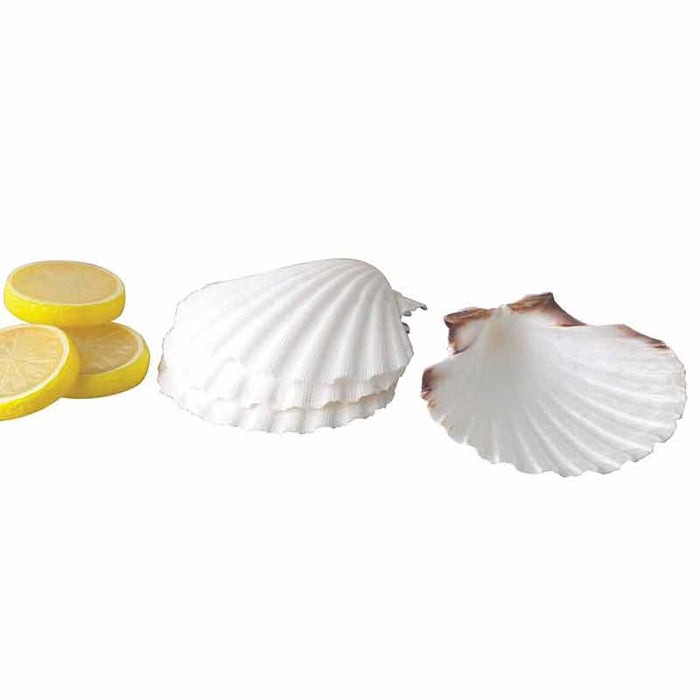 Set of 4 Natural 4" Baking Shells