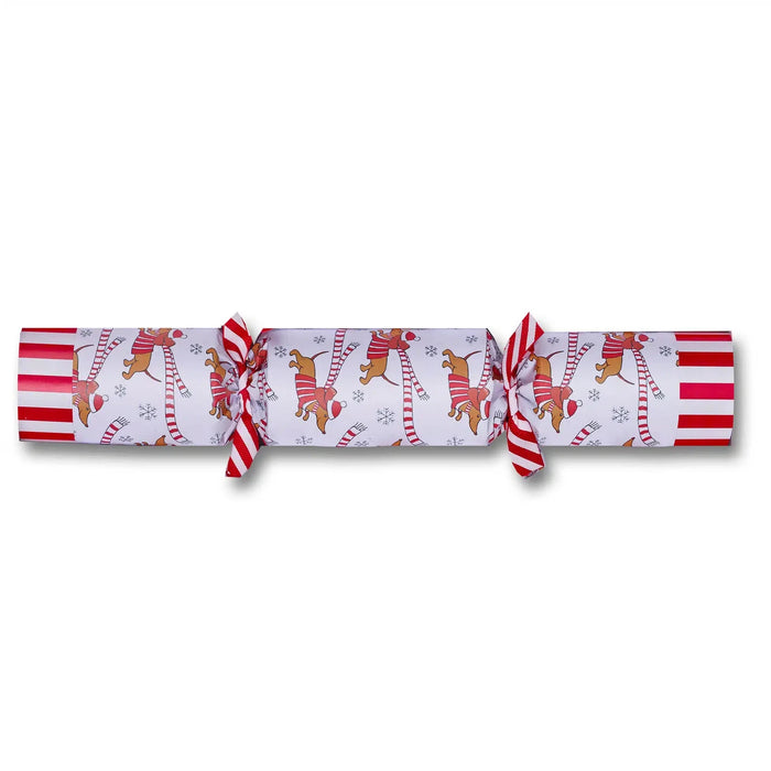 Robin Reed 6 Piece Racing Sausage Dog Christmas Crackers