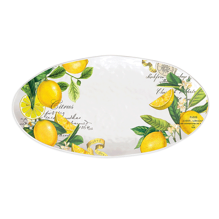 Michele Design Works Melamine Oval Platter