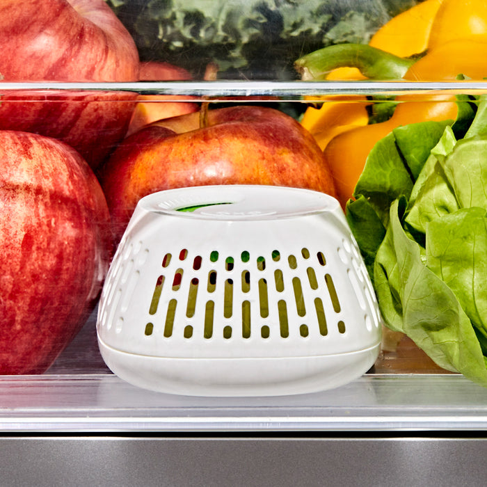 OXO 2 Piece Produce Saver Crisper Basket