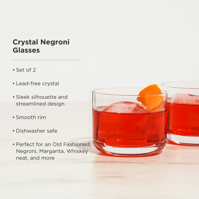 Viski Raye Crystal Negroni Glass Set of 2