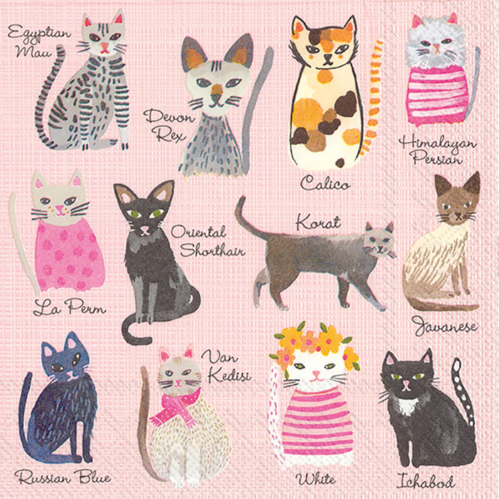 Cool Cats Paper Beverage Napkins