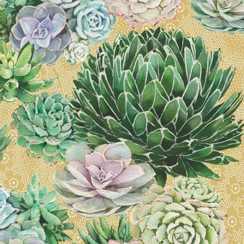 succulent cocktail napkins Succulents Paper Bevrage Napkins
