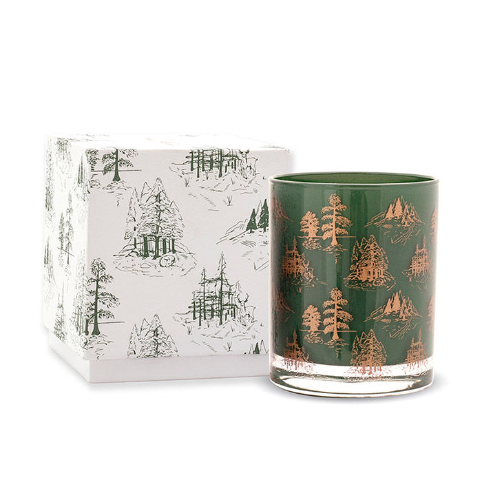 Paddywax 7 oz. Cypress & Fir Boxed Candle
