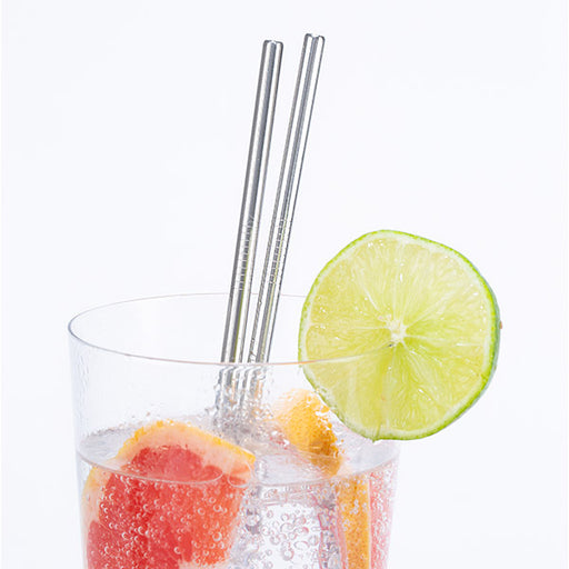S'well Stainless Steel Straw Set