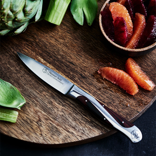 Paring Knife 3.5 inch Small Kitchen Knife, Sharp Fruit Knife Stainless  Steel