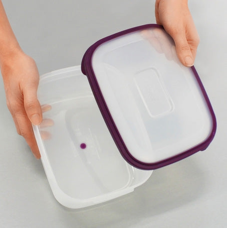3pcs/set Reusable Glass Food Storage Box, Japanese Style Clear Food Storage  Container For Kitchen