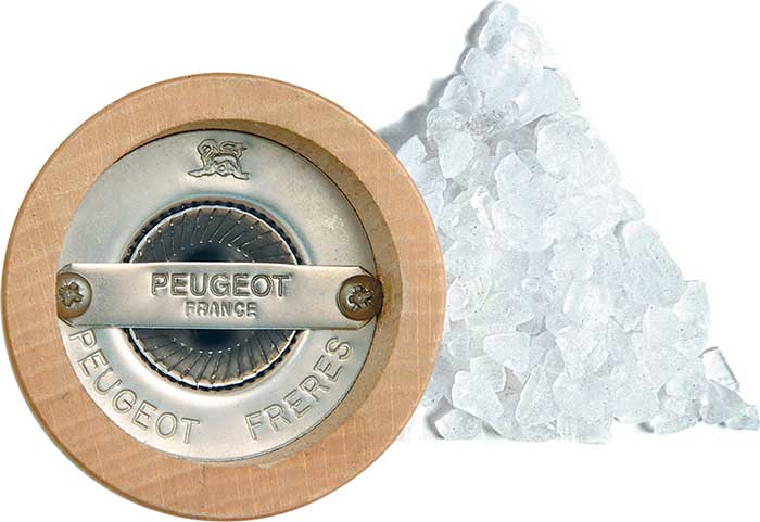 Peugeot Nancy Acrylic Salt Mill 3.5"