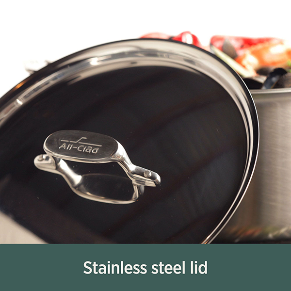 All-Clad D5 5-Ply Stainless Steel Sauce Pan with Lid 3 Quart